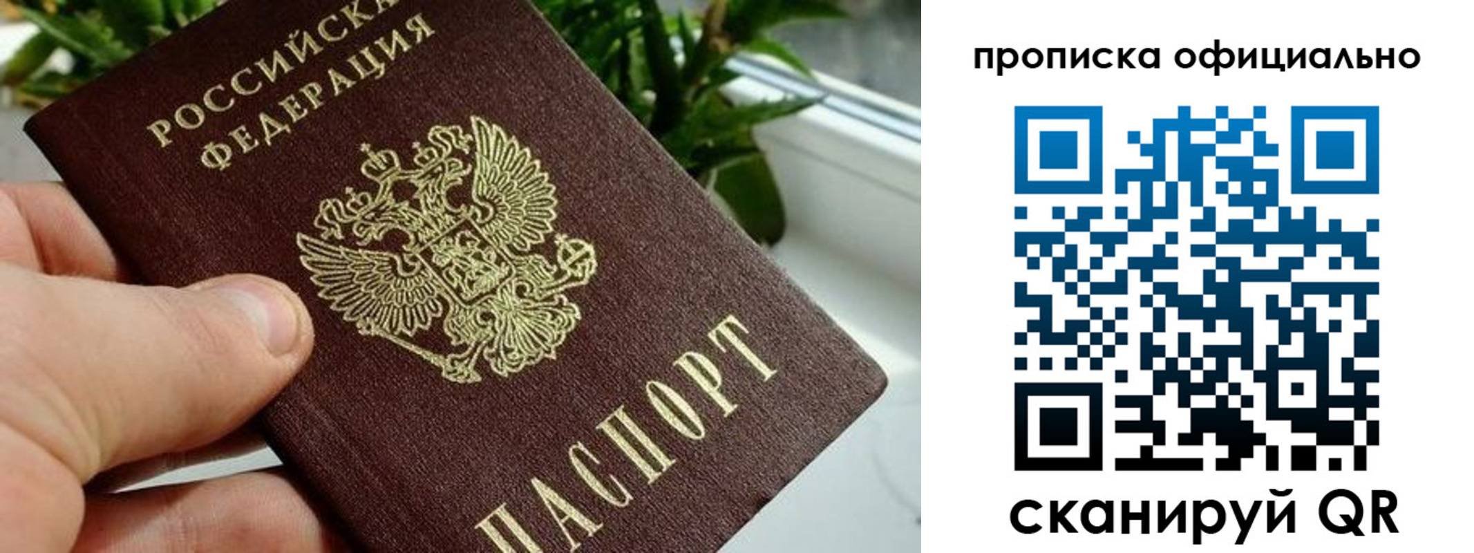 прописка поиск в Электрогорске